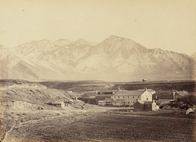 Plate 49. Brigham Young