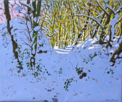 Path through the Woods in Winter, Derbyshire by Andrew Macara