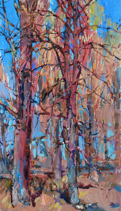 Colorful Forest Trees by Andrii Kutsachenko