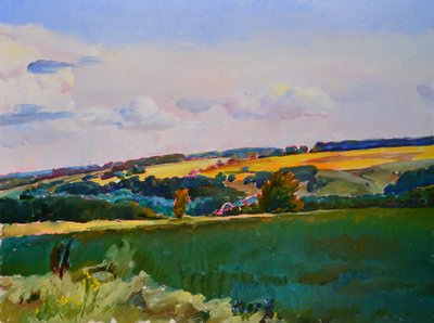 Rolling Fields Landscape by Andrii Kutsachenko