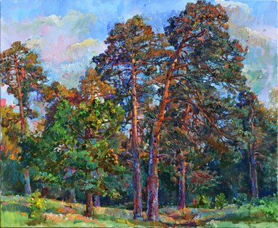Sunlit Pine Trees by Andrii Kutsachenko