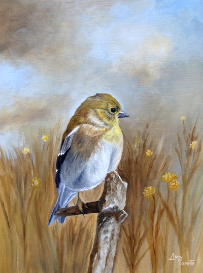 Autumn Finch Perch by Angeles M. Pomata