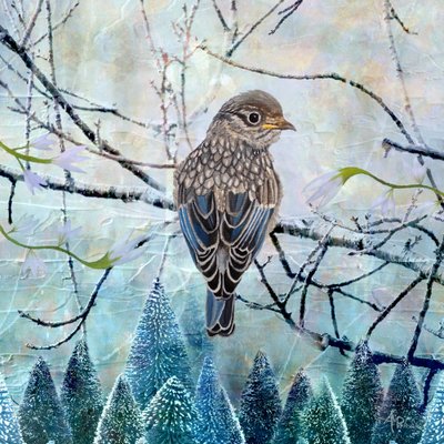 Blue Bird Winter Scene by Angeles M. Pomata