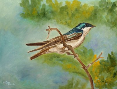 Colorful Perched Swallow by Angeles M. Pomata