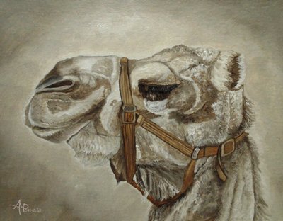 Gentle Camel Portrait by Angeles M. Pomata