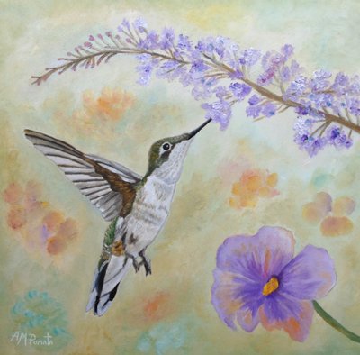 Hummingbird Nectar Sip by Angeles M. Pomata