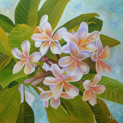 Soft Plumeria Blooms by Angeles M. Pomata