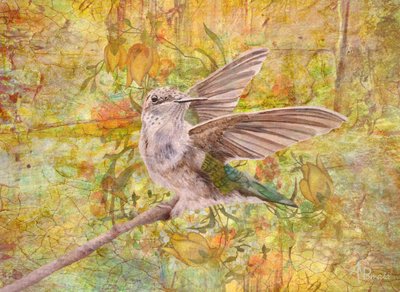 Spring Dance by Angeles M. Pomata