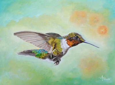 Vibrant Hummingbird Flight by Angeles M. Pomata