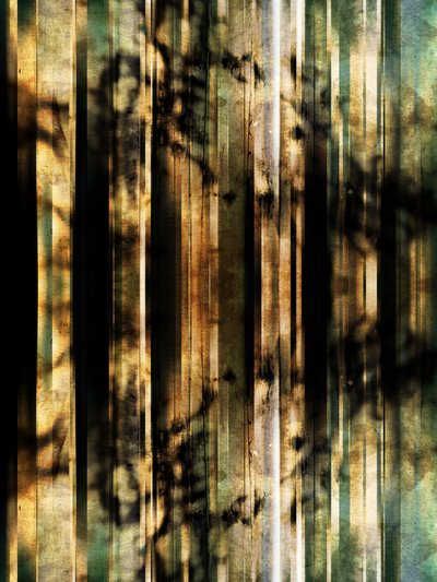 Abstract Forest Shadows by Angelo Cerantola