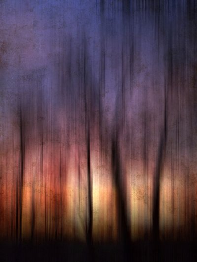 Abstract Forest Sunset by Angelo Cerantola