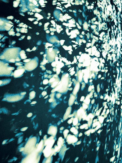 Abstract Leaf Shadows by Angelo Cerantola
