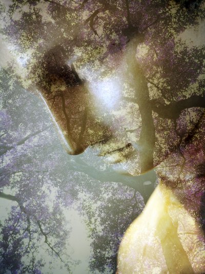 Ethereal Forest Profile by Angelo Cerantola
