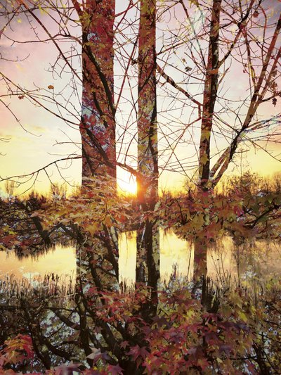 Golden Hour Autumn Reflection by Angelo Cerantola
