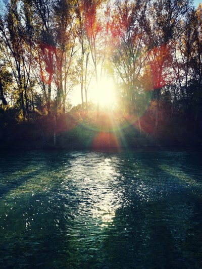 Golden River Sunlight by Angelo Cerantola