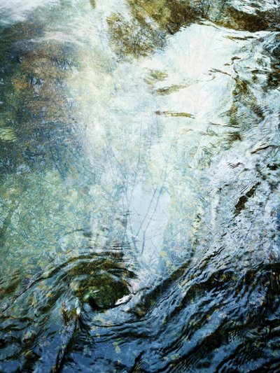 Liquid Forest (1) by Angelo Cerantola
