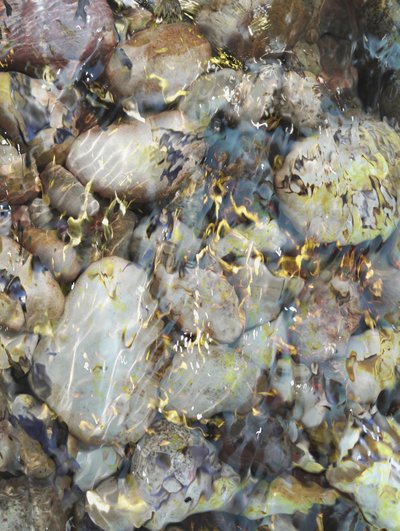 Pebbles In Clear Water by Angelo Cerantola