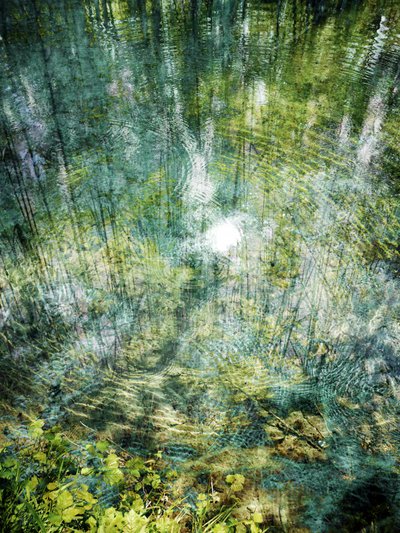 Rippling Forest Reflection by Angelo Cerantola