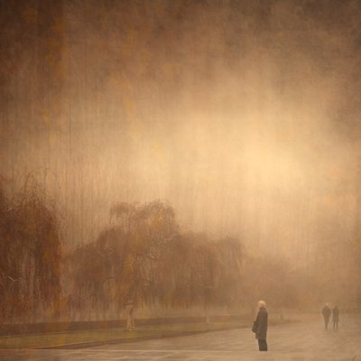 Dreamy Autumn Walk by Anja Buehrer