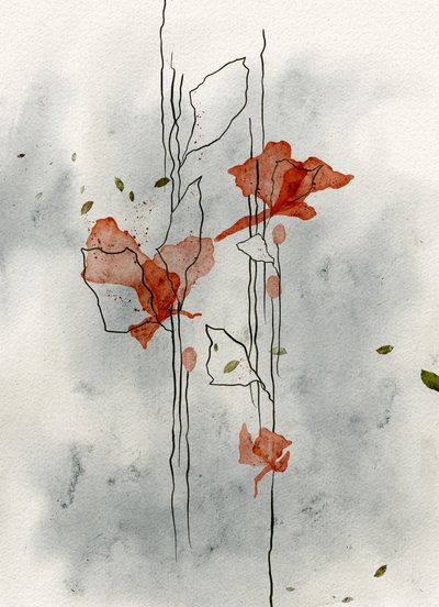Delicate Poppies Bloom by Ankie Kooi