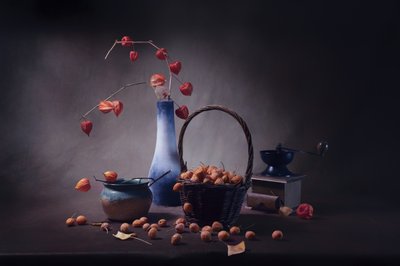 Autumn Lanterns Harvest by Anna Qu