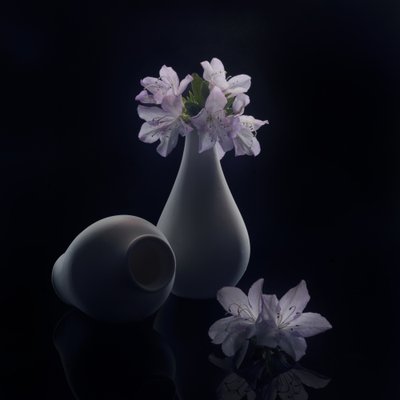 Moody Flowers and Vases by Anna Qu