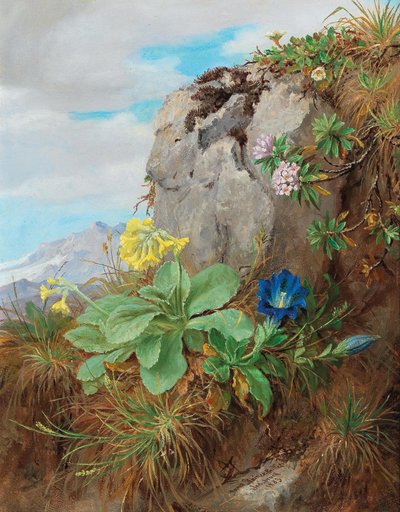 Alpine Flowers by Anna Stainer Knittel