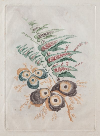 New Suite of Portfolios of Flowers Ideal to Use for Designing and Painting: Floral Fantasies by Anne Allen