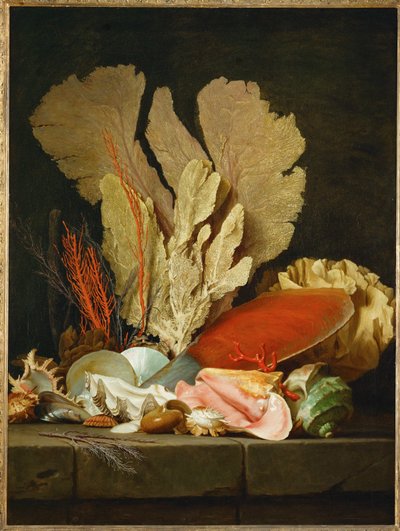 Sea Fans, Lithophytes, and Shells - Still-life with Shells and Coral by Anne Vallayer-Coster