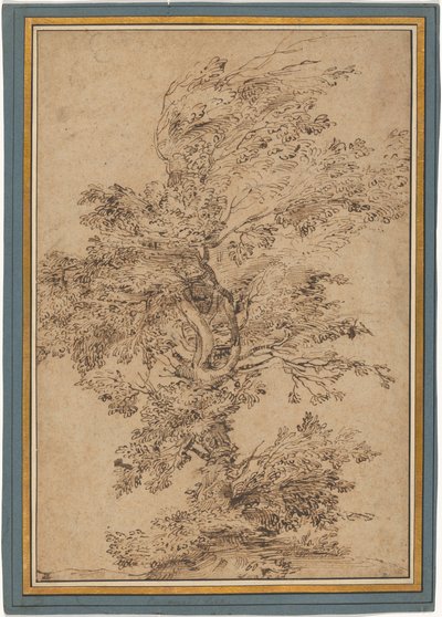 Study of a Tree by Annibale Carracci