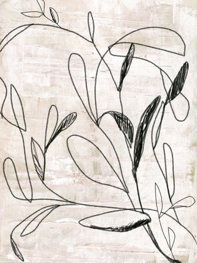 Botanical Line Drawing by Annick