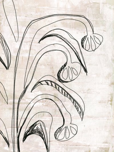 Organic Line Botanicals by Annick