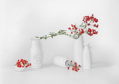 Minimalist Red Berry Display by Annie Poreider