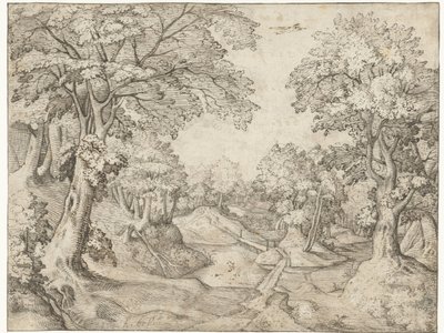 Forest Landscape with a Stream by Anonymous