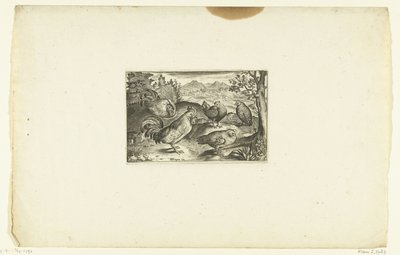 Three Hens and Two Roosters (series title) by Anonymous