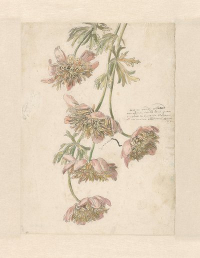 Three Branches with Flowers by Anonymous