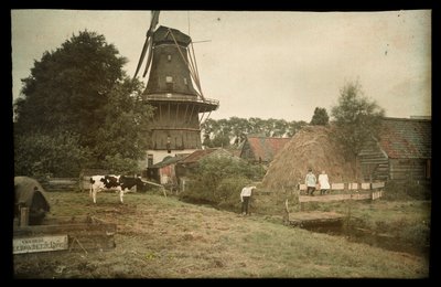 Farm Scene, with a Windmill, Tethered Cow and Posing Children, Netherlands by Anonymous