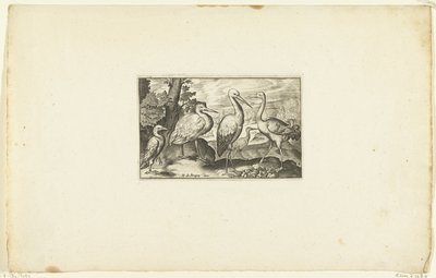 Stork Among Two Other Birds (Volatilium varii generis) by Anonymous