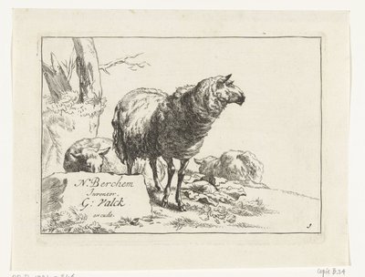 Standing Sheep and Two Lying Sheep (Goats and Sheep after N.P. Berchem) by Anonymous