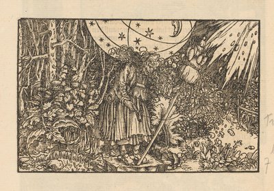 Woman with Spindle in a Forest and a Celestial Vault by Anonymous