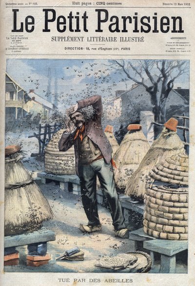 Death of a beekeeper attacked by bees extracting honey from the hives in Quincey near Nuits-Saint-Georges in Cote d