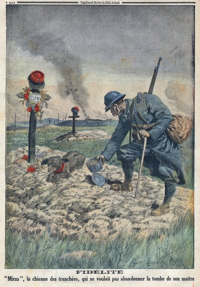 First World War 1914-1918. A dog refusing to abandon the grave of her dead master in the trench - In 
