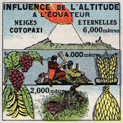 Meteorology: influence of altitude on climate. Anonymous illustration from 1925. Private collection. by Anonymous Anonymous
