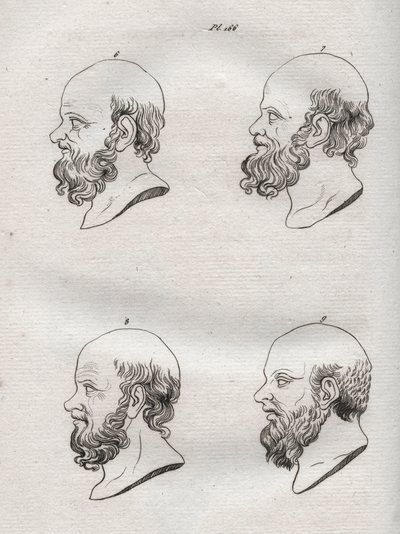 Physiognomy - Several heads of the Greek philosopher Socrates (ca. 469 BC-399 BC) - engraving of 1808 in 