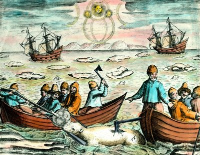 Polar Bear Hunting Scene in Canada. 18th century engraving. Private Collection by Anonymous Anonymous