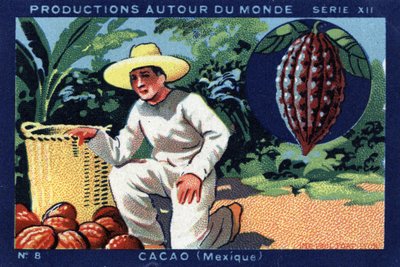 Productions Around the World: Cocoa in Mexico by Anonymous Anonymous