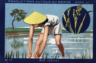 Productions around the world: Rice in China by Anonymous Anonymous
