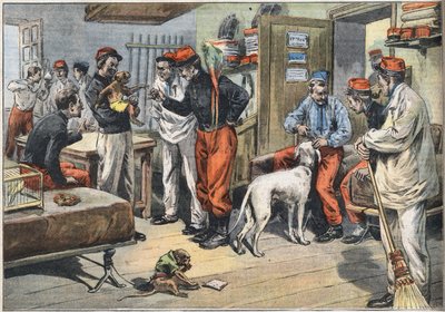 Returning from Africa of the French army soldiers sent to Tunisia. Engraving from the newspaper 