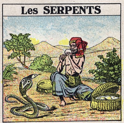 The effects of music: a charmer of cobras snakes. Anonymous illustration from 1925. Private collection. by Anonymous Anonymous