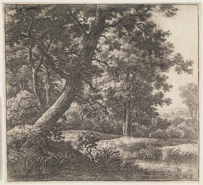 Crooked Tree by Anthonie Waterloo